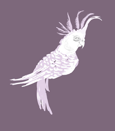 chirpella4.4