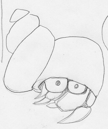 crab3