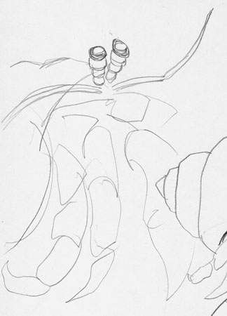 crab7