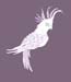 chirpella4.4