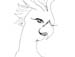 cockatoo2