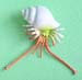 crab-hermit-plastic-#20003