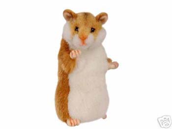 hansa%20hamster