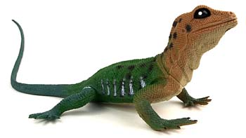 lizard-plastic-jungl#20001