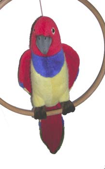hansa%20parrot%20front