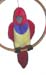 hansa%20parrot%20front