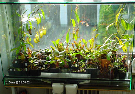 Terrarium5