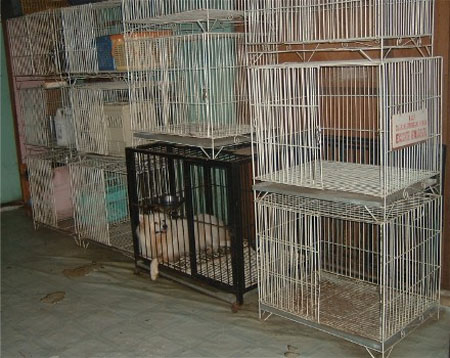 cages