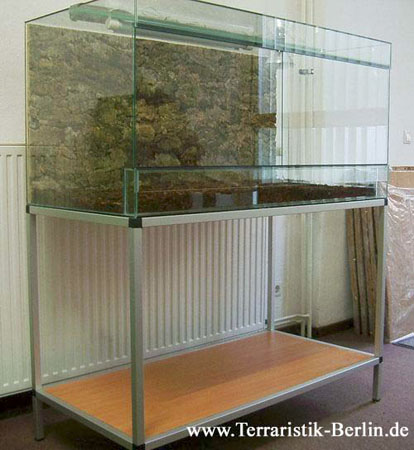 terrarium%201