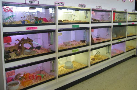 store03