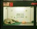 petshop-03