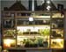 terrarium4