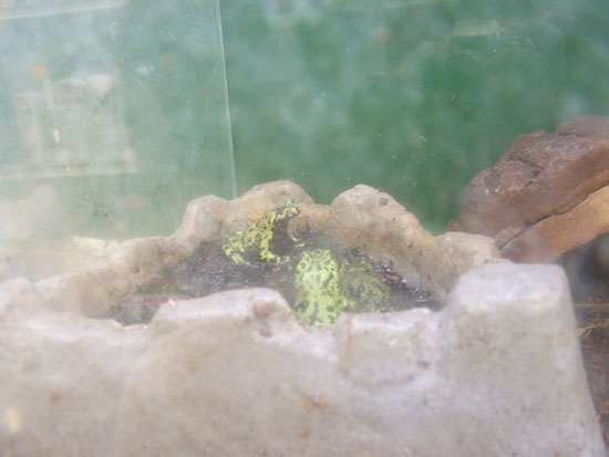 DSCF0457