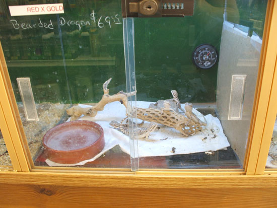 DSCF0472